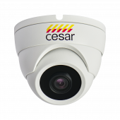 IP-видеокамера CESAR WNIRD3-MG320CH ip-видеокамера cesar wnird3-mg320ch