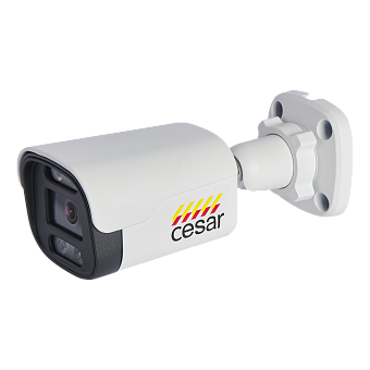 IP-видеокамера Cesar V10-IPC-310B ip-видеокамера cesar v10-ipc-310b